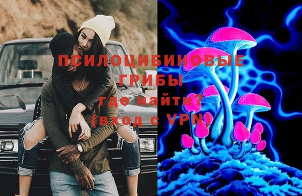 шишки Дмитров