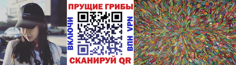 Галлюциногенные грибы Magic Shrooms  Зеленогорск 