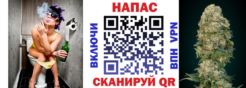дарнет шоп  Зеленогорск  Бошки марихуана план 